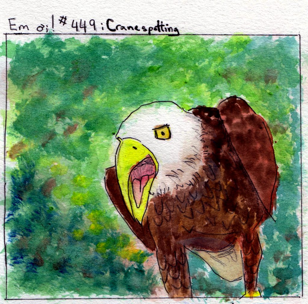 A drawing of a bald eagle.