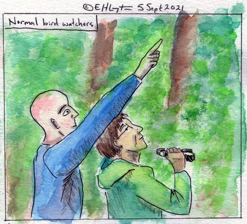 Two birdwatchers. One is pointing at something, the other is smiling. Text: "Normal birdwatchers." 