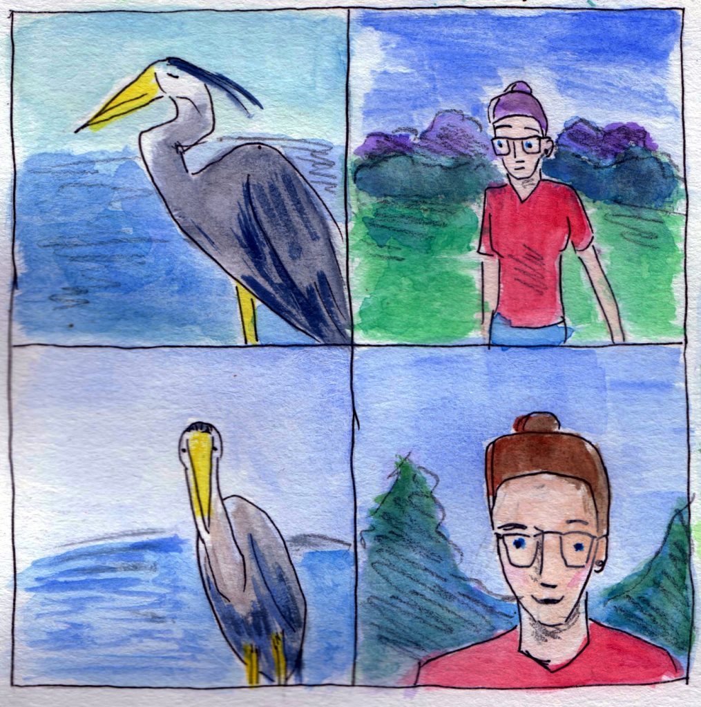 A drawing of Em looking at a great blue heron.